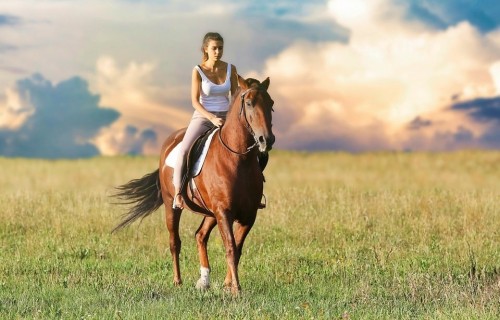 Фото, Катання на конях на Трухановому острові