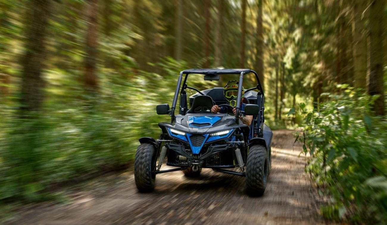 Экстрим на багги