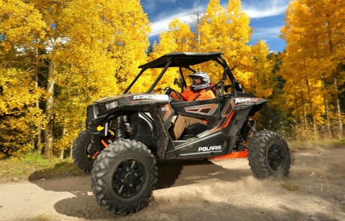 Фото, Драйв на багги