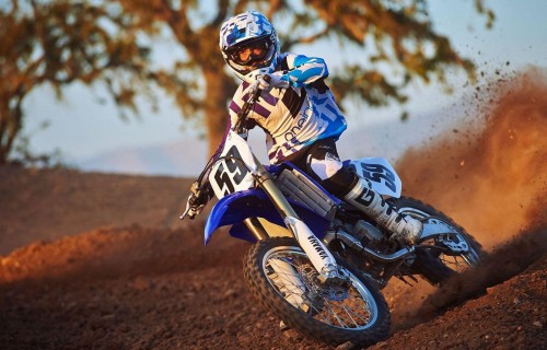 Фото, Мототур на питбайке по лесу