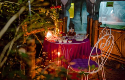 Фото, Романтична вечеря в оранжереї