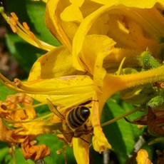 Татьяна Кутова